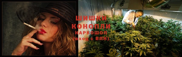 ПСИЛОЦИБИНОВЫЕ ГРИБЫ Армянск
