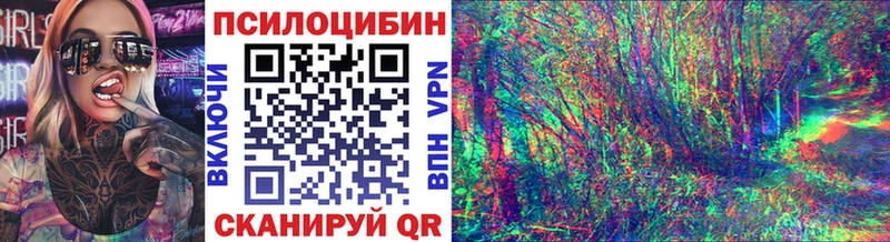 omg tor  где продают наркотики  Лодейное Поле  Псилоцибиновые грибы GOLDEN TEACHER 